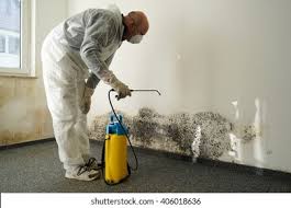 Best Mold Remediation for Vacation Homes  in USA